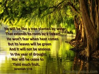 Jeremiah 17:8